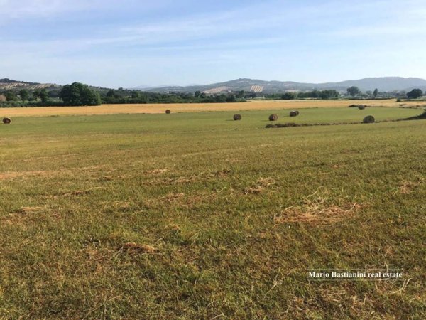 terreno agricolo in vendita a Castiglione della Pescaia in zona Vetulonia