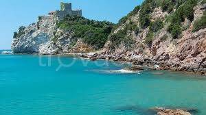 negozio in vendita a Castiglione della Pescaia