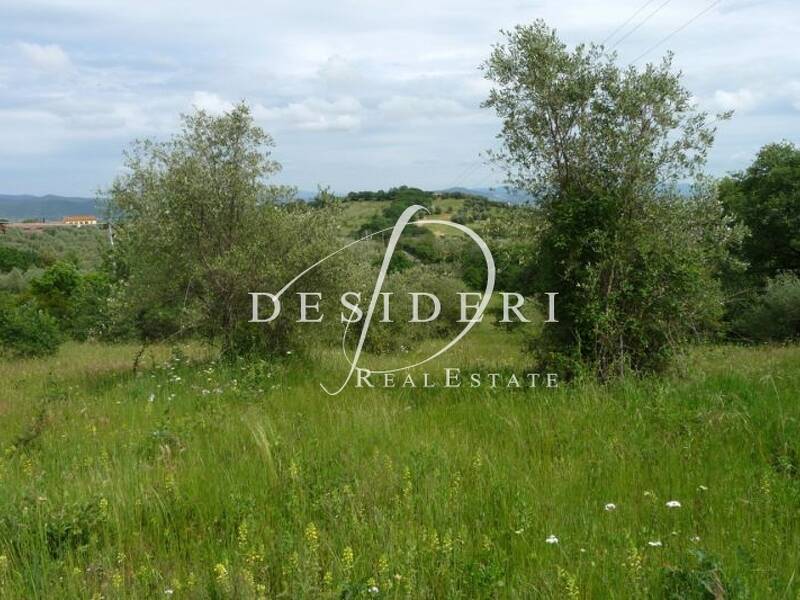 terreno agricolo in vendita a Castiglione della Pescaia in zona Vetulonia