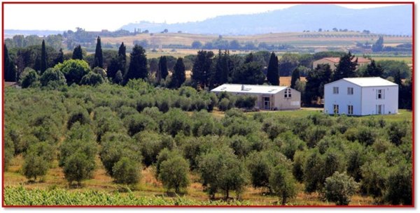 casa indipendente in vendita a Castiglione della Pescaia
