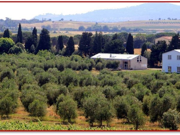 casale in vendita a Castiglione della Pescaia