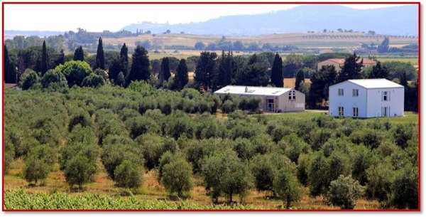 casale in vendita a Castiglione della Pescaia