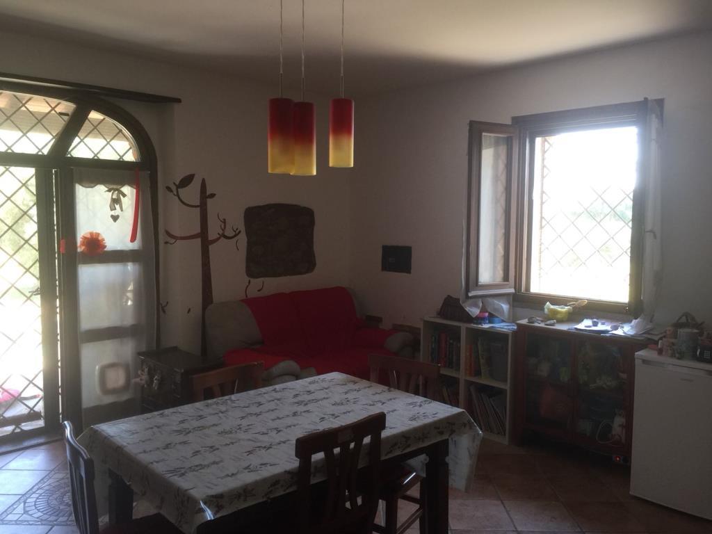 casa indipendente in vendita a Castiglione della Pescaia in zona Ampio
