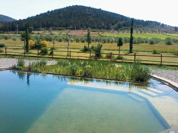 azienda agricola in vendita a Castiglione della Pescaia