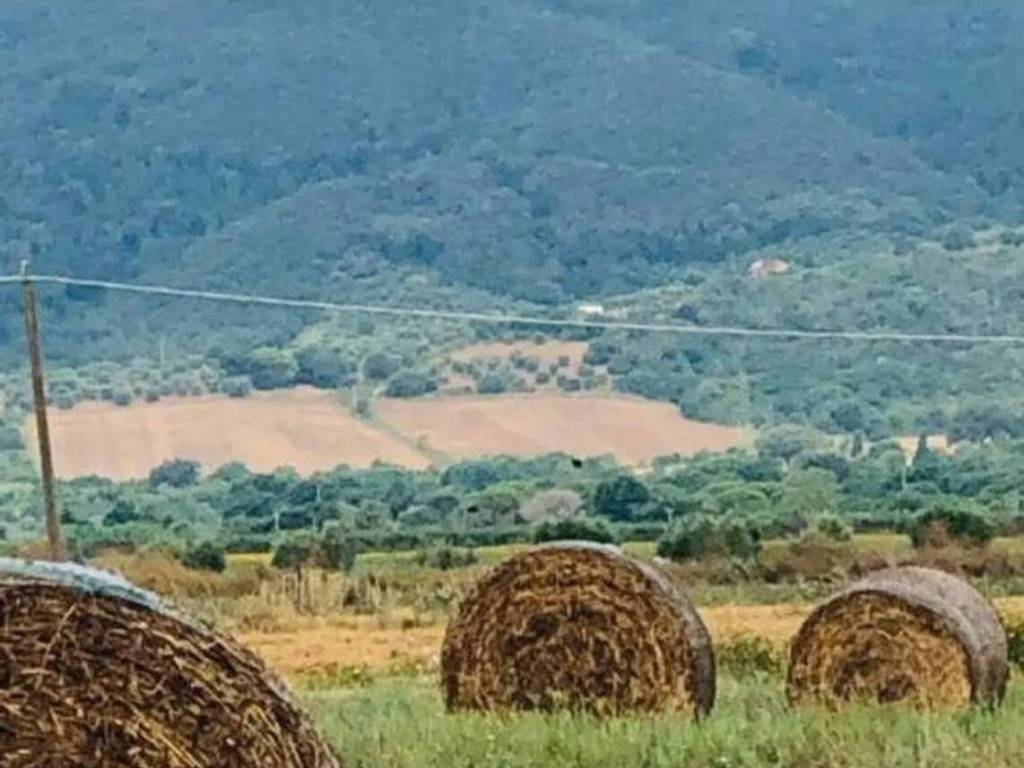 terreno agricolo in vendita a Castiglione della Pescaia in zona Vetulonia