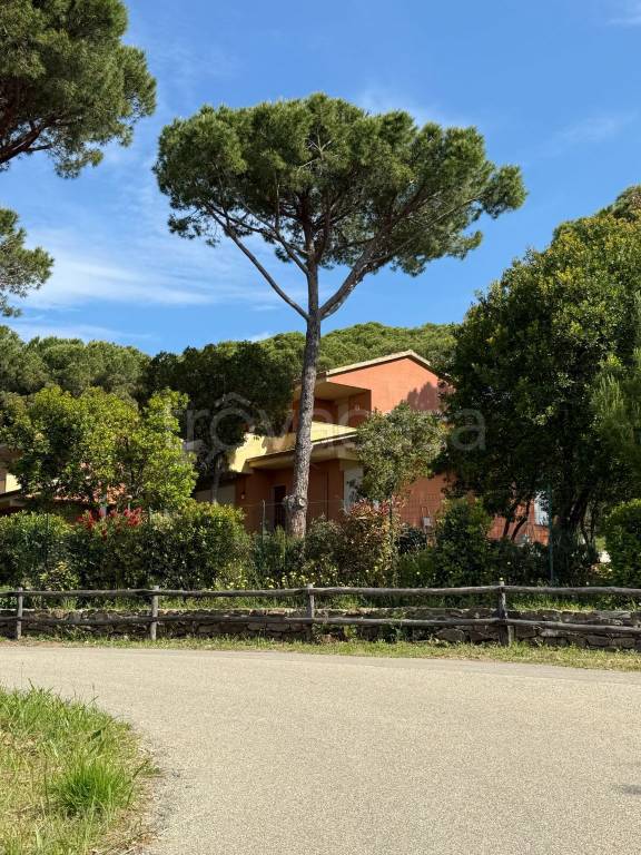 casa indipendente in vendita a Castiglione della Pescaia in zona Ampio
