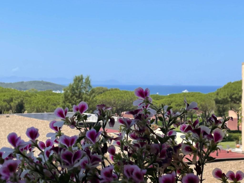 appartamento in vendita a Castiglione della Pescaia in zona Punta Ala