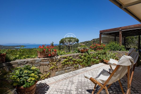 casa indipendente in vendita a Castiglione della Pescaia in zona Punta Ala