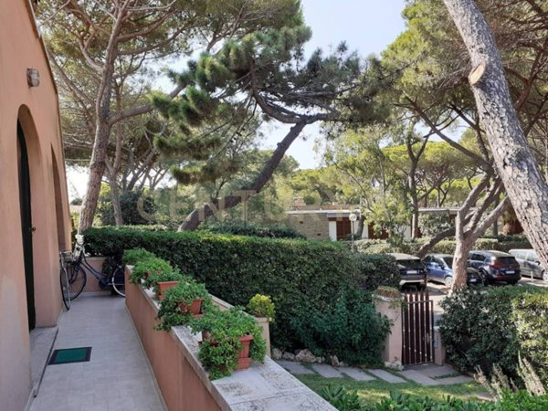 casa indipendente in vendita a Castiglione della Pescaia in zona Ampio