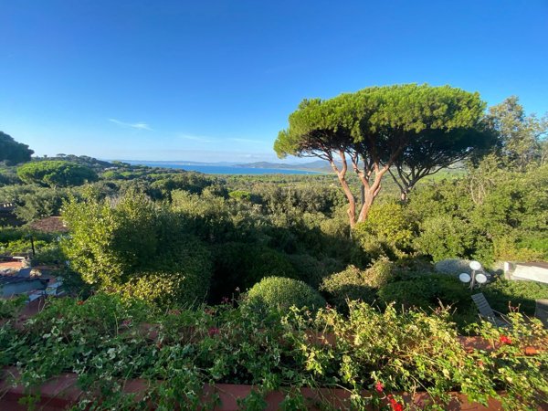 casa indipendente in vendita a Castiglione della Pescaia in zona Punta Ala