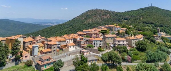 appartamento in vendita a Castiglione della Pescaia in zona Tirli