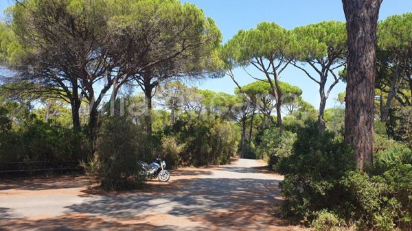 casa indipendente in vendita a Castiglione della Pescaia in zona Roccamare