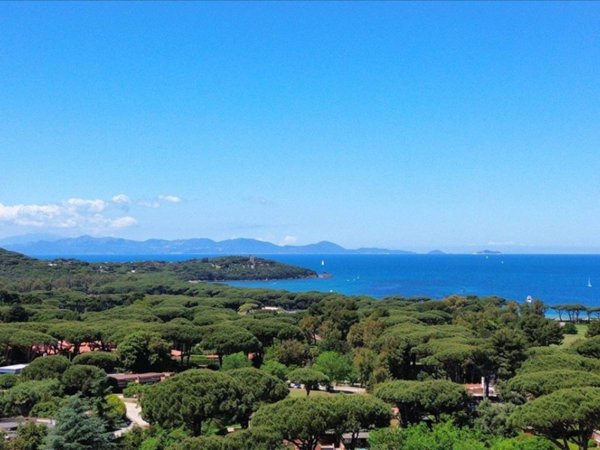 appartamento in vendita a Castiglione della Pescaia in zona Ampio