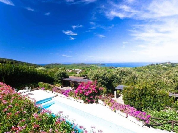 casa indipendente in vendita a Castiglione della Pescaia in zona Punta Ala