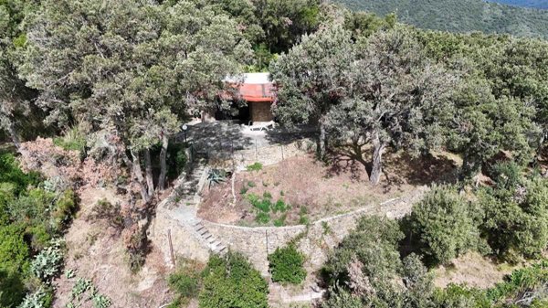 casa indipendente in vendita a Castiglione della Pescaia in zona Buriano