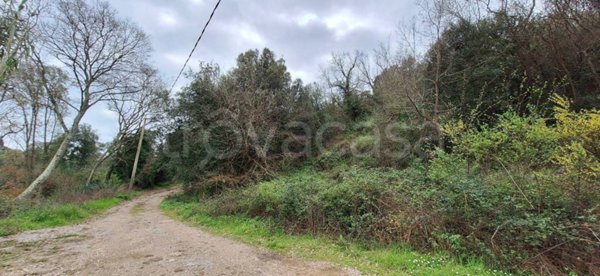 terreno agricolo in vendita a Castiglione della Pescaia in zona Vetulonia