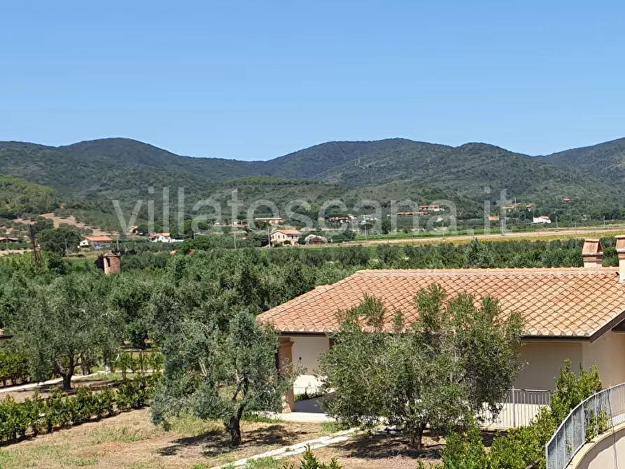 casa indipendente in vendita a Castiglione della Pescaia