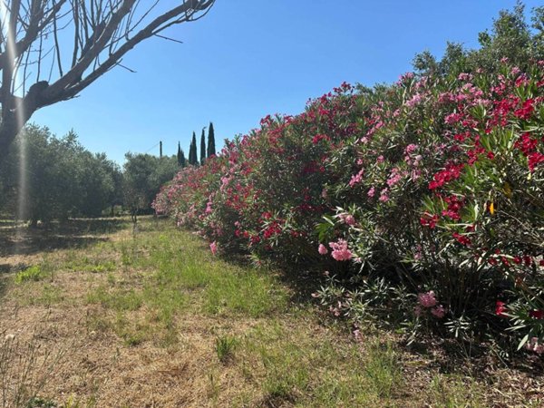 casale in vendita a Castiglione della Pescaia in zona Tirli