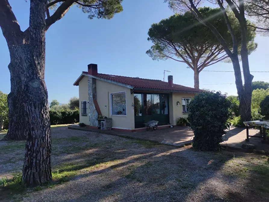 casa indipendente in vendita a Castiglione della Pescaia