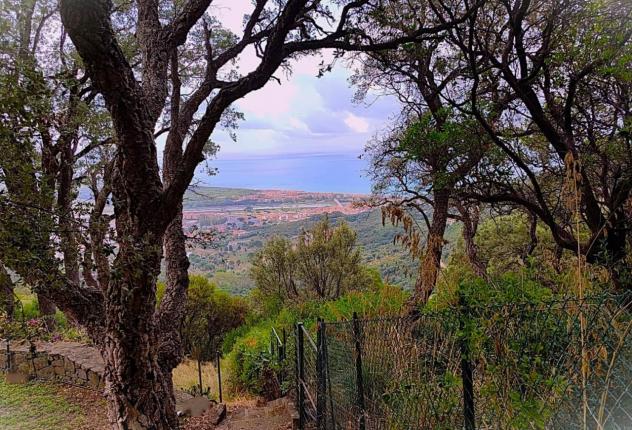 casa indipendente in vendita a Castiglione della Pescaia in zona Punta Ala