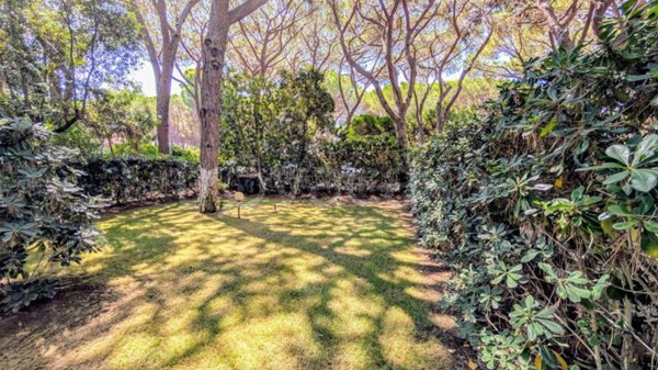 casa indipendente in vendita a Castiglione della Pescaia in zona Ampio