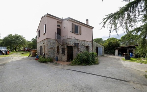 esavano in vendita a Castiglione della Pescaia in zona Vetulonia