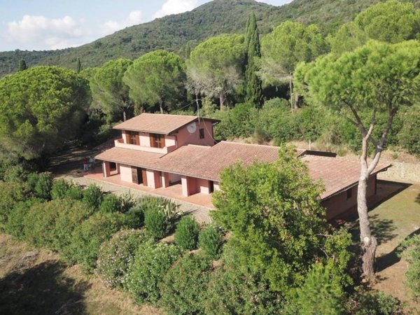 casa indipendente in vendita a Castiglione della Pescaia
