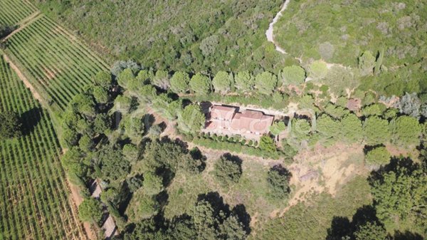 casa indipendente in vendita a Castiglione della Pescaia