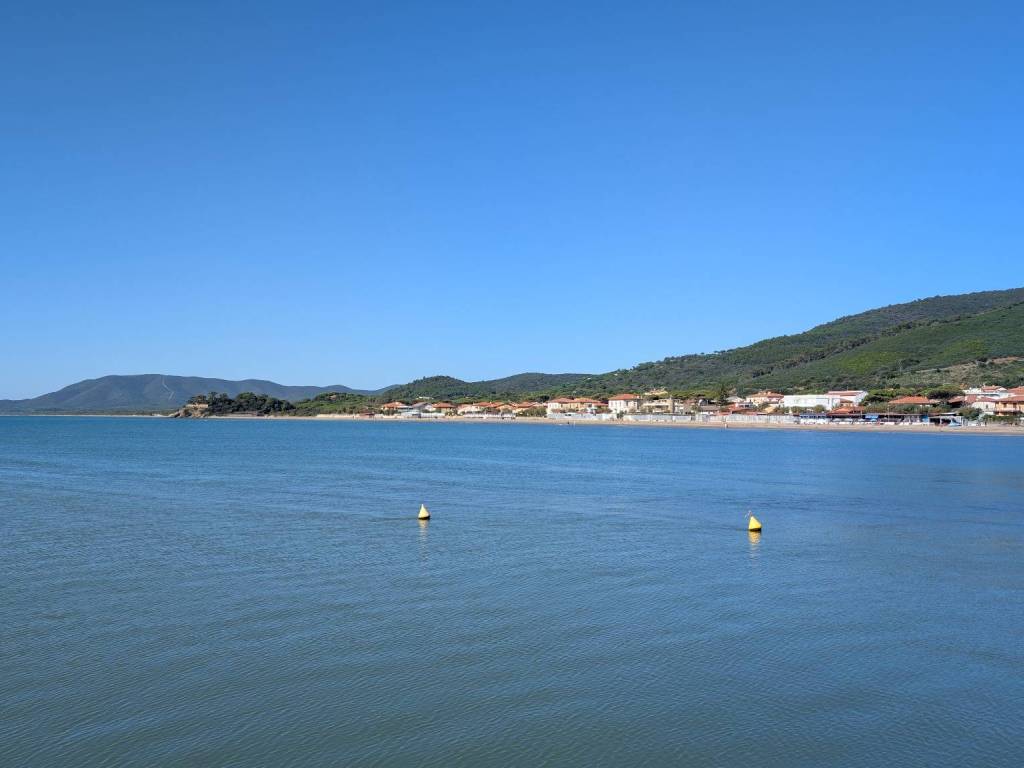 negozio in vendita a Castiglione della Pescaia