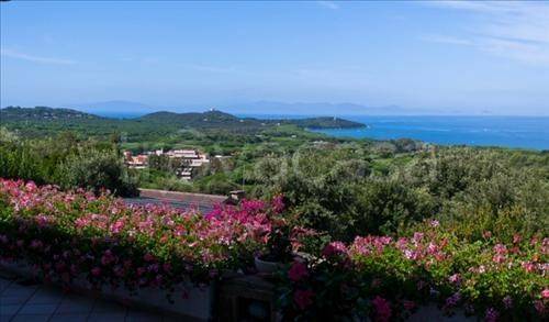 casa indipendente in vendita a Castiglione della Pescaia in zona Punta Ala