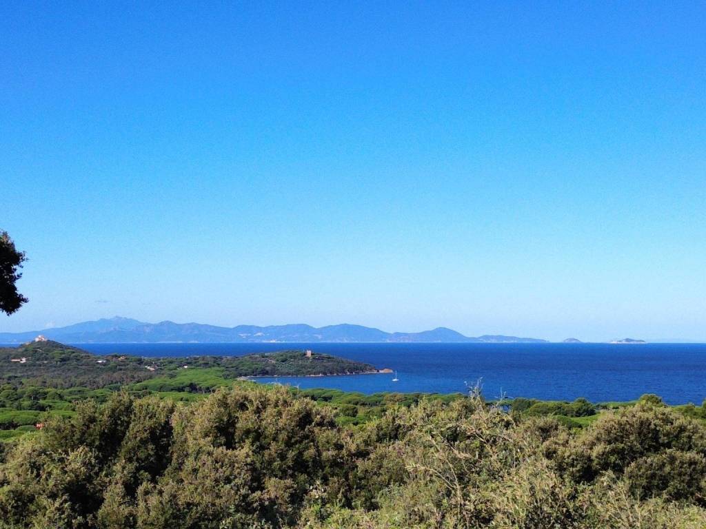 casa indipendente in vendita a Castiglione della Pescaia in zona Punta Ala