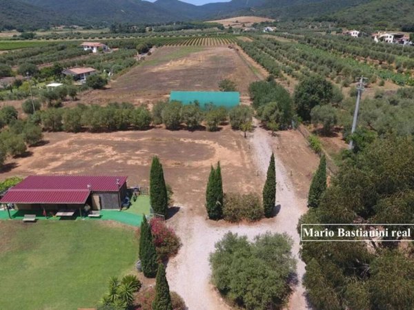 terreno agricolo in vendita a Castiglione della Pescaia in zona Buriano