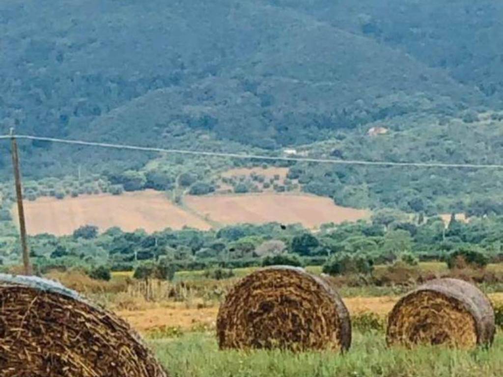 terreno agricolo in vendita a Castiglione della Pescaia in zona Vetulonia