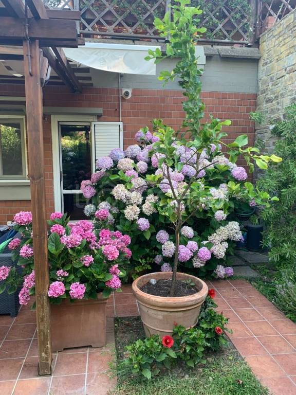 appartamento in vendita a Castiglione della Pescaia in zona Punta Ala