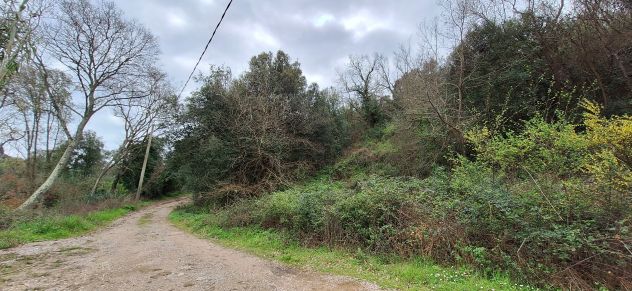 terreno agricolo in vendita a Castiglione della Pescaia in zona Vetulonia