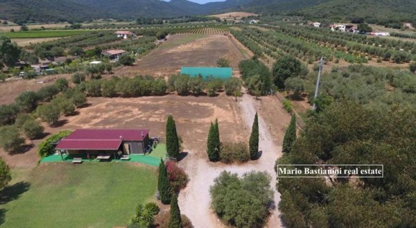 terreno agricolo in vendita a Castiglione della Pescaia