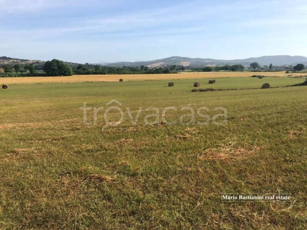 terreno agricolo in vendita a Castiglione della Pescaia