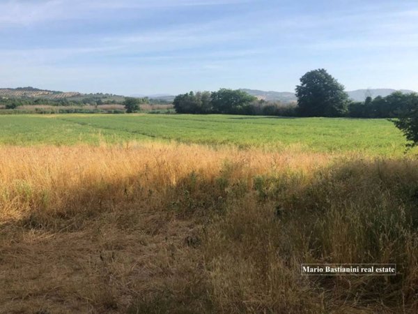 terreno agricolo in vendita a Castiglione della Pescaia