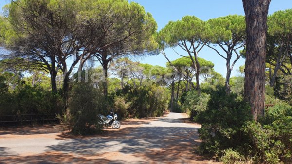 casa indipendente in vendita a Castiglione della Pescaia in zona Roccamare