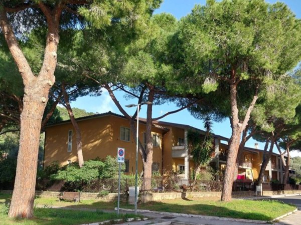 appartamento in vendita a Castiglione della Pescaia in zona Ampio