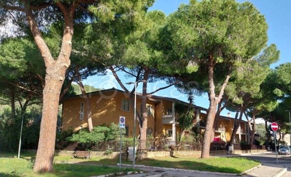 appartamento in vendita a Castiglione della Pescaia in zona Ampio