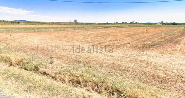 terreno agricolo in vendita a Castiglione della Pescaia in zona Buriano