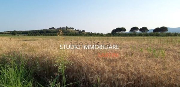 terreno agricolo in vendita a Castiglione della Pescaia
