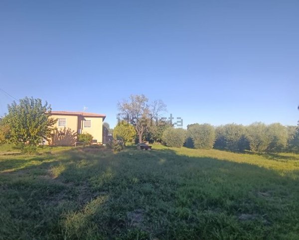 casa indipendente in vendita a Castiglione della Pescaia