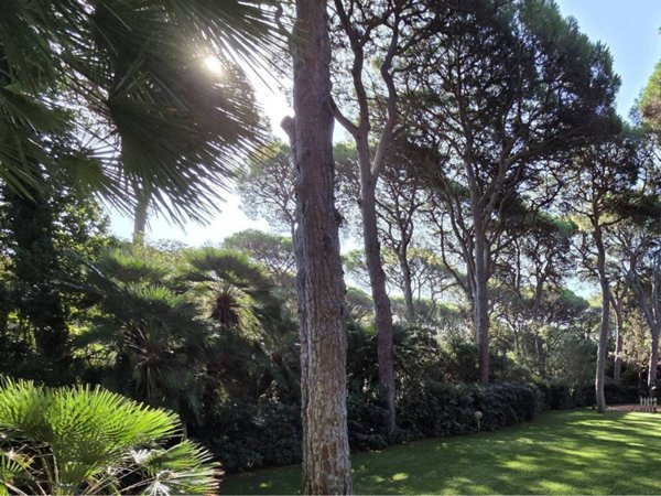 casa indipendente in vendita a Castiglione della Pescaia