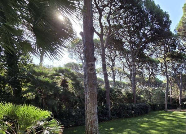 casa indipendente in vendita a Castiglione della Pescaia