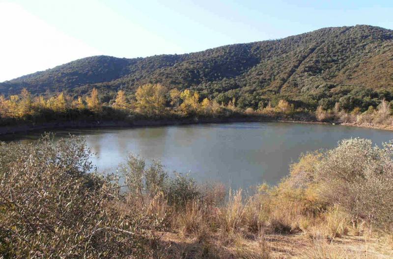casale in vendita a Castiglione della Pescaia