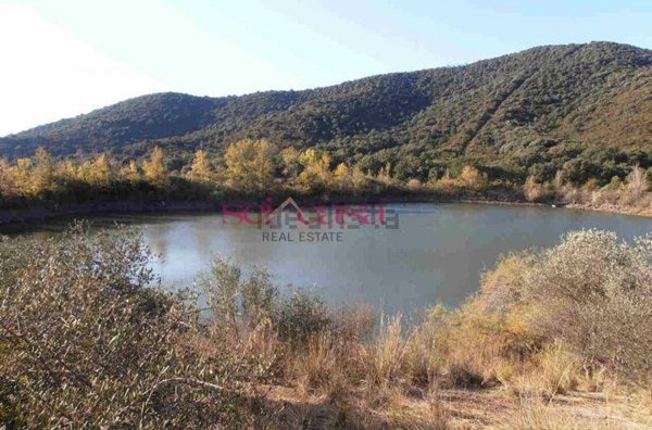 casale in vendita a Castiglione della Pescaia