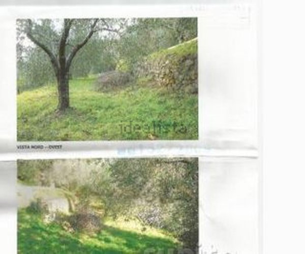 terreno agricolo in vendita a Castiglione della Pescaia in zona Tirli