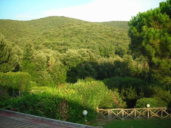 appartamento in vendita a Castiglione della Pescaia in zona Punta Ala